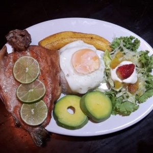 Filete de pollo a la plancha