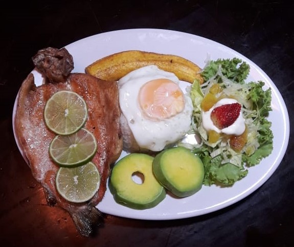 Filete de pollo a la plancha