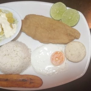 Bandeja con róbalo